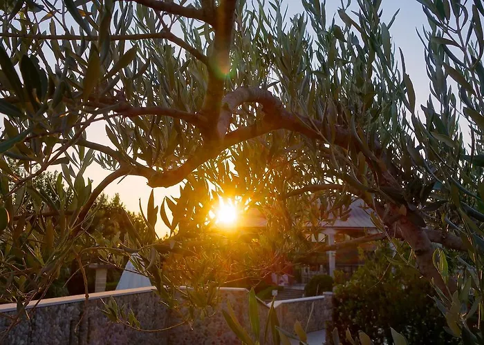 弗里阿诺酒店 酒店 3*